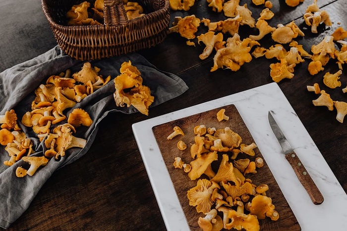 在树林里采蘑菇