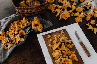 在树林里采蘑菇