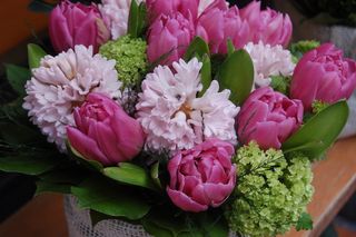 花, 百合花, 花的, 开花植物, 新鲜, 植物, 自然之美, 漏洞