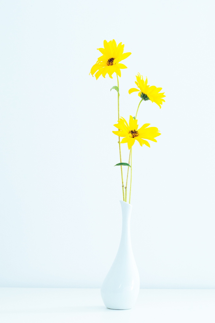 白色花瓶上有黄色花瓣的花