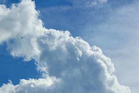 天空,云,天,蓝色,鸟,剪影,蓝天,小 天空,云,天,蓝色,鸟,剪影,蓝天,小