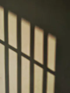 印度，哥印拜陀，第六十字路口，无人，阴影，室内，白天，特写