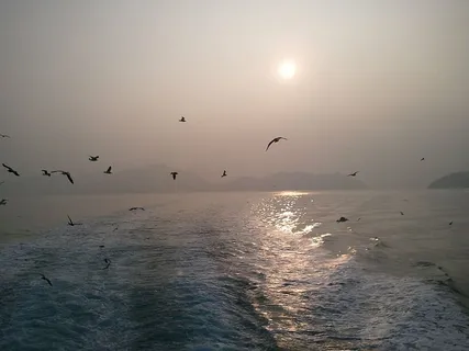 海鸥,时报,游船,海洋,脊椎动物,动物主题,野生动物,野生动物 海鸥,时报,游船,海洋,脊椎动物,动物主题,野生动物,野生动物