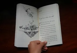 人的手，手，人体的一部分，一个人拿着出版物、书或纸