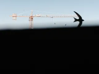 罗马尼亚，bucurești，strada general h.m.berthelot 60，天空，剪影，建筑，自然，复制空间