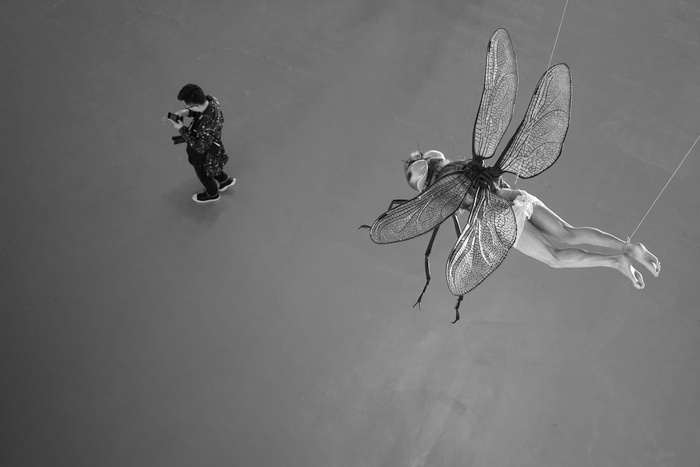 中国，上海当代艺术博物馆，短信，博物馆，画廊，展览，昆虫，艺术