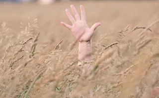 现场人员右手照片