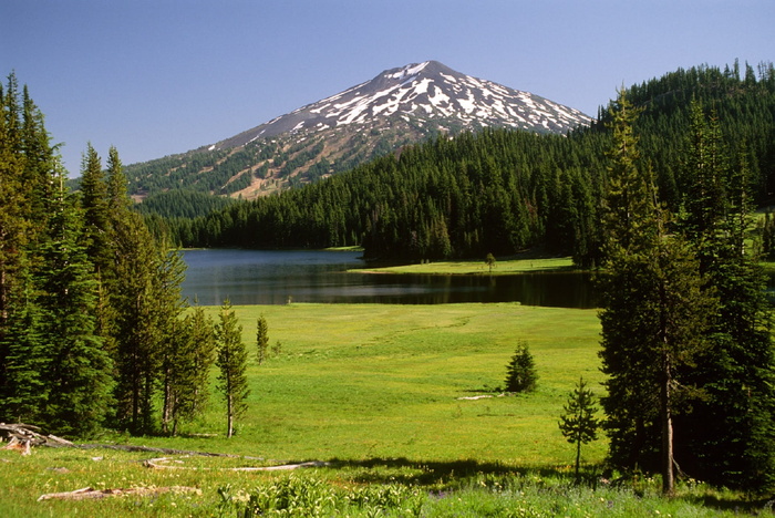 草地，景观，学士山，层状火山，风景，绿色，乡村，德舒特国家森林