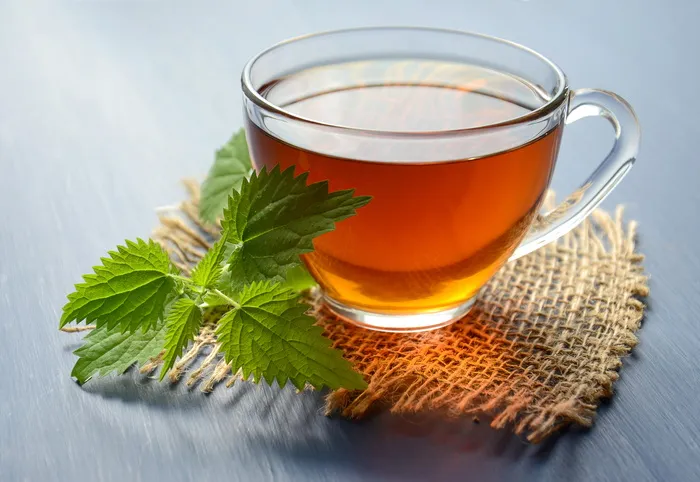 茶杯薄荷茶