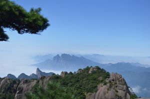 雾、景观、山脉、自然、户外、落基山脉、风景区、树木