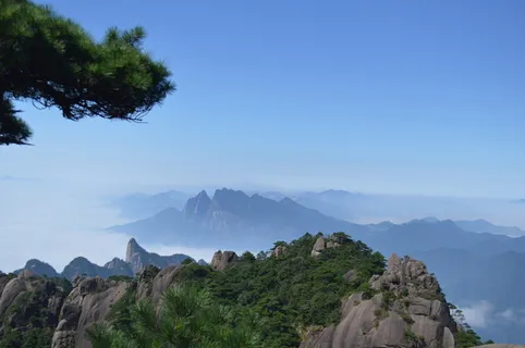 雾、景观、山脉、自然、户外、落基山脉、风景区、树木 雾、景观、山脉、自然、户外、落基山脉、风景区、树木