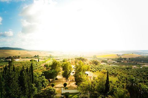 西班牙，塞拉诺港，a-375，树，天空，植物，风景-自然，自然之美