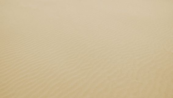 白色、沙滩、海滩、海岸、自然、户外、背景、全框架