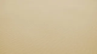 白色、沙滩、海滩、海岸、自然、户外、背景、全框架