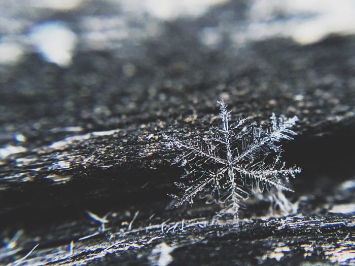 雪花，冰，冬天，寒冷，圣诞节，寒冷的温度，雪，冰冻