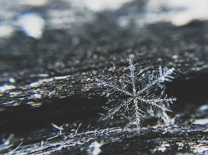 雪花,冰,冬天,寒冷,圣诞节,寒冷的温度,雪,冰冻 雪花,冰,冬天,寒冷,圣诞节,寒冷的温度,雪,冰冻