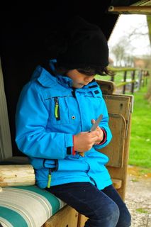 孩子，爱好，假期，雕刻，小刀，沙滩椅，童年，男孩