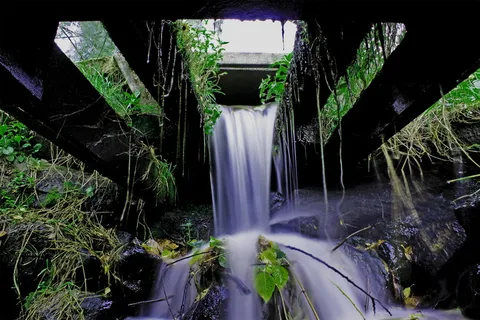 瑞典,skellefteå,植物,自然,水,无人,白天,生长 瑞典,skellefteå,植物,自然,水,无人,白天,生长