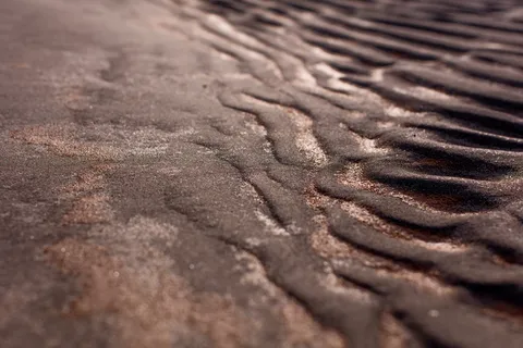 黑色和灰色花卉纺织品