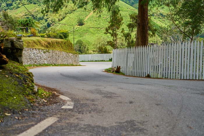 空旷、道路、栅栏、树木、沥青、自然、乡村、景观