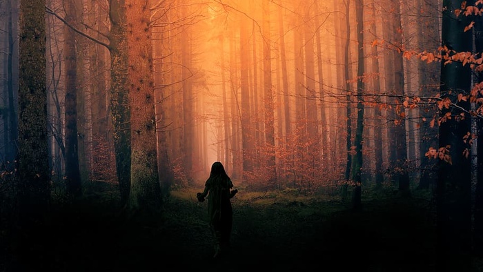 幽灵，森林，恐怖，噩梦，孩子，女孩，黑暗，夜晚