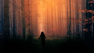 幽灵，森林，恐怖，噩梦，孩子，女孩，黑暗，夜晚