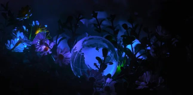 桌面、自然、水下、深色、彩色、浅色、月亮、大海