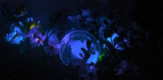 桌面、自然、水下、深色、彩色、浅色、月亮、大海