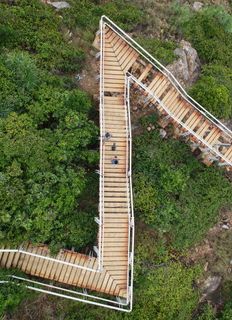 马来西亚，perhentian群岛，楼梯，台阶，垂直，无人机，空中，树