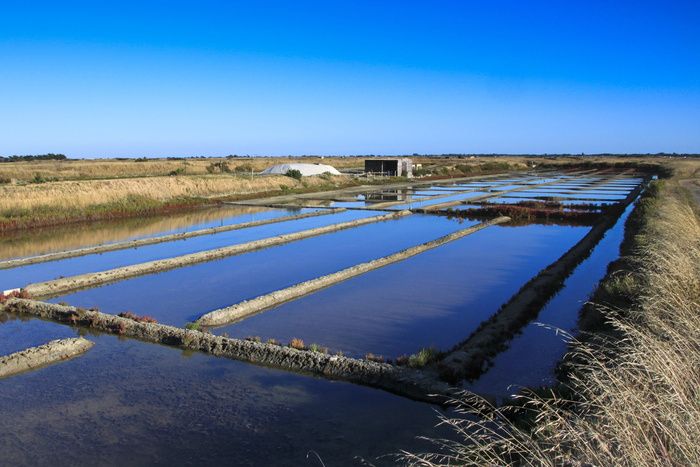 盐沼，盐，盐沼，noirmoutier，salant，沼泽，水，蓝色
