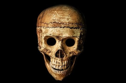 人类棕色头骨,棕色,人类头骨,头骨,万圣节,人,面具,假人 人类棕色头骨,棕色,人类头骨,头骨,万圣节,人,面具,假人