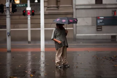 黑色和粉色雨伞下的男人 黑色和粉色雨伞下的男人