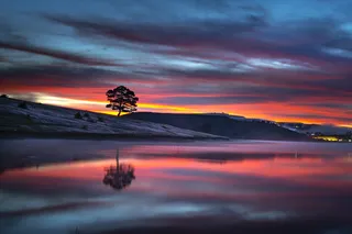 黄金时段树木在水体上的倒影