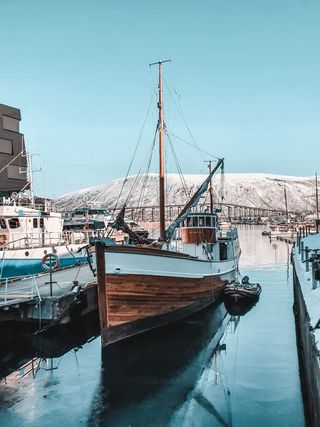 白色和棕色的船停靠