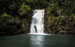 瀑布、日光、环境、秋天、水流、森林、长时间暴露、苔藓