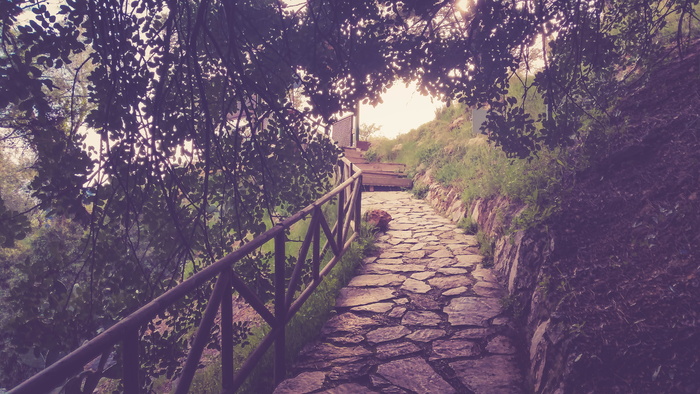 通道，通道