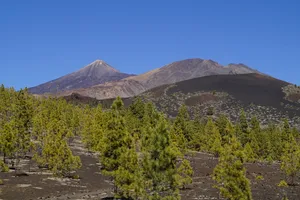 泰德国家公园，国家公园，岩石，岩层，特内里费，加那利群岛，泰德，泰德国家公园