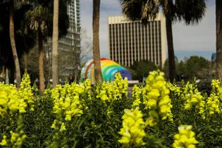 奥兰多，eola湖，美国，黄色，焦点，颜色，彩虹，圆形剧场