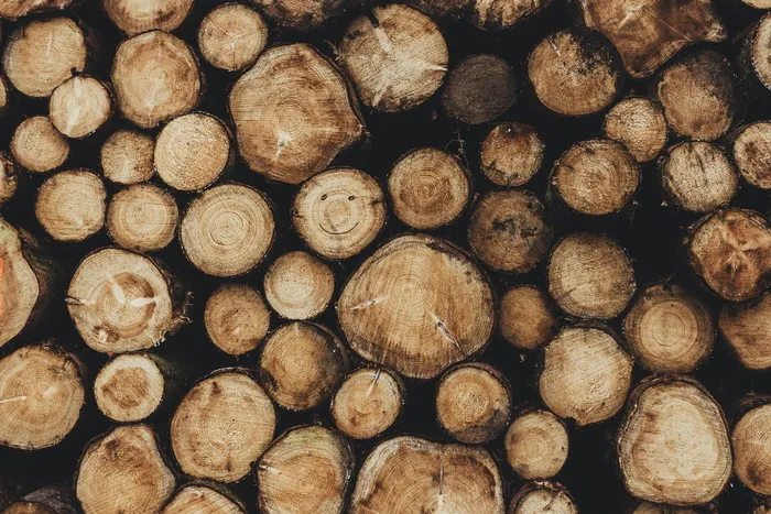 一堆棕色的原木