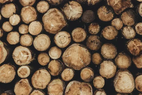 一堆棕色的原木