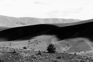 沙漠，空旷，辽阔，树，树，光，太阳，日出