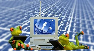 绿色，青蛙雕像，电脑，网络，聊天，监控，交流