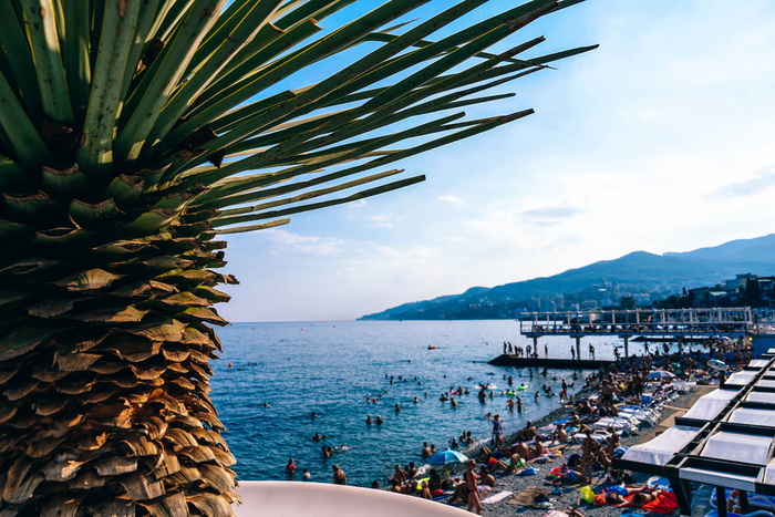 活动，背景，海湾，海滩，美丽，蓝色，海岸，海岸线