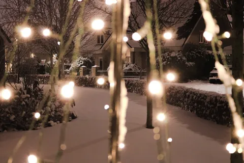 圣诞节,雪,2017,烟花,树,灯,房子,照明 圣诞节,雪,2017,烟花,树,灯,房子,照明