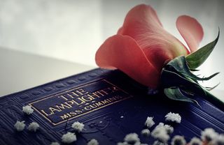 书籍，阅读，小说，文学，旧书，复古，玫瑰，鲜花