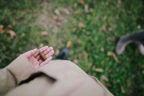 拿着橡子的人的顶视图照片