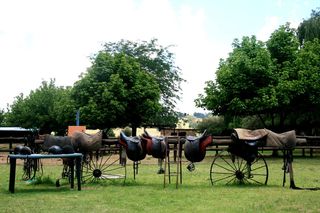 马鞍, 皮革, 骑马, 发布, 马车车轮, 绿树, 天空, 植物