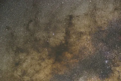 棕色和黑色抽象艺术品