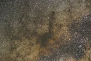 棕色和黑色抽象艺术品