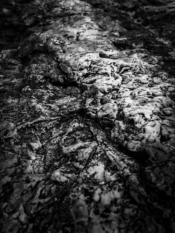 以色列，耶路撒冷，岩石特写，石头，基岩，纹理岩石，客西马尼岩石花园，黑白